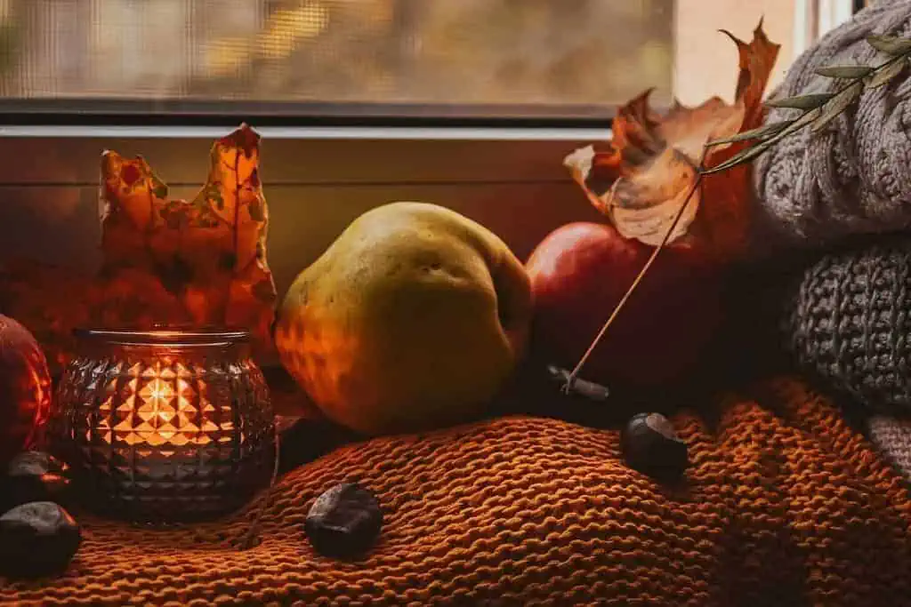 Spreading Holiday Fragrance: DIY Christmas Simmering Potpourri Gift Bags Explained 4 potpourri materials