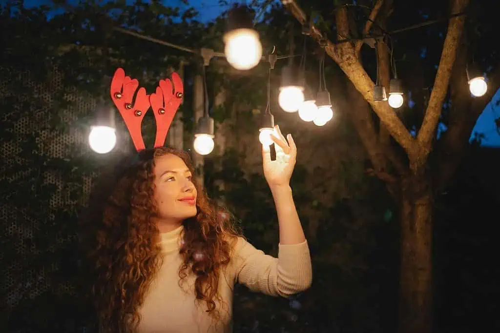 how to change fuse in the Christmas lights
