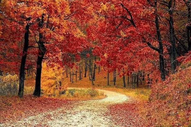 When to Start Decorating for Fall?