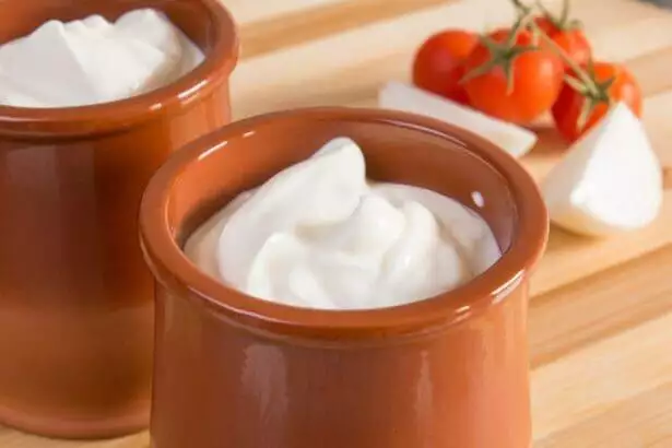Is Sour Cream A Condiment? 4
