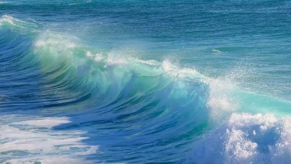 How Long Does it Take to Learn to Surf? - Surfing 101 1