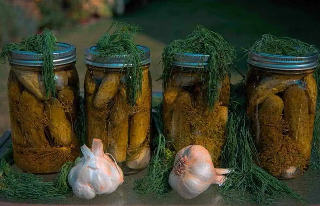 The Ultimate Grilled Cheese Companion: 17 Side Dishes to Elevate Your Meal 10 dill pickles stored and preserved in jars