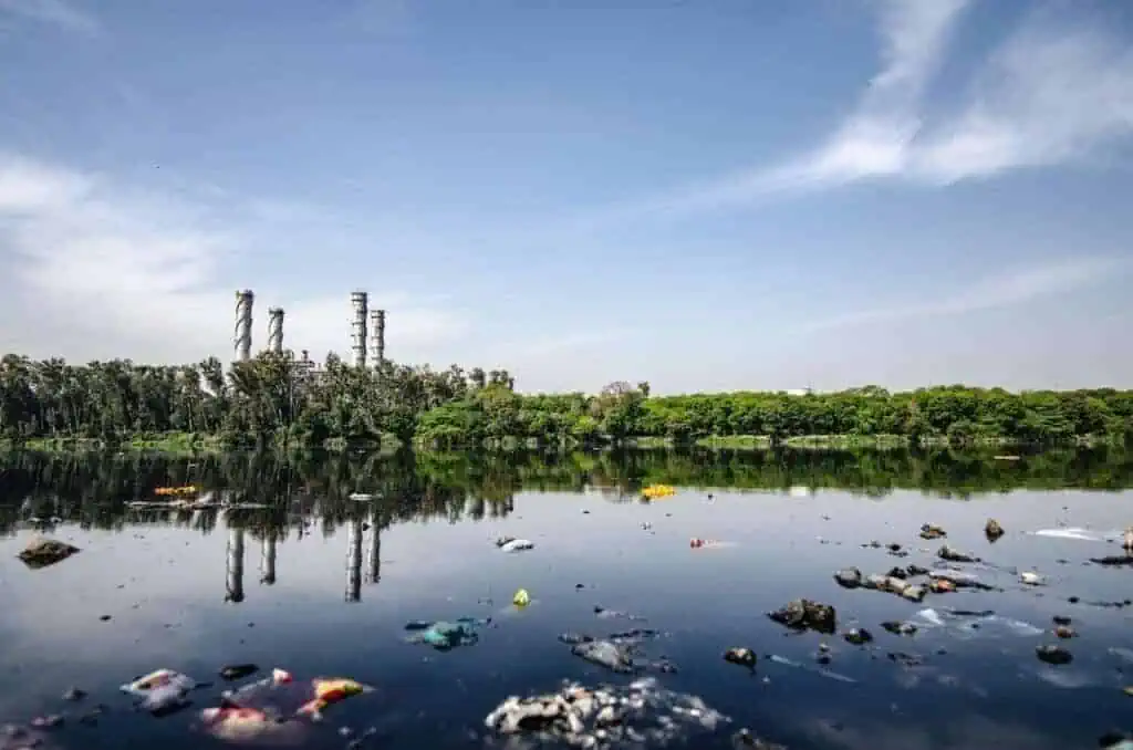 how does water pollution affect aquatic life