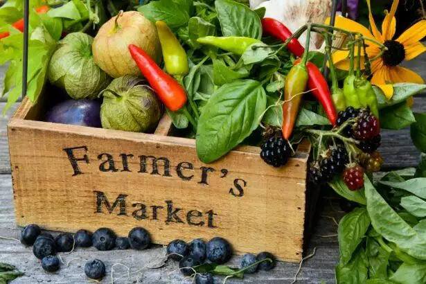 Are Farmers' Markets Cheaper: 4 Most Intriguing Details