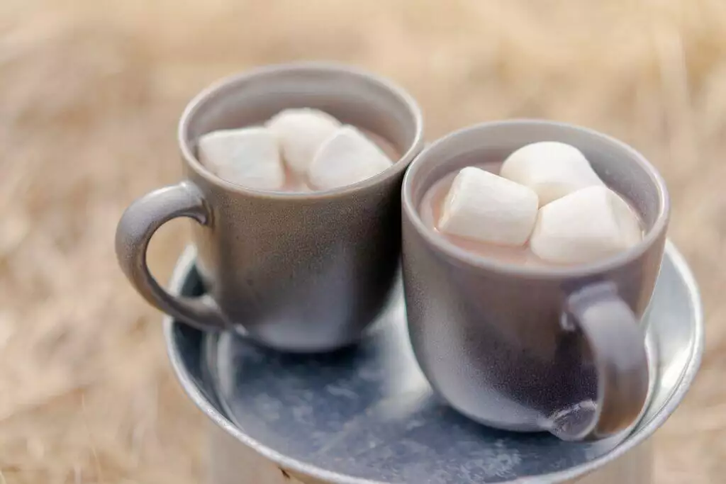 Sipping and Snacking: A Guide to Complementing Your Hot Cocoa Experience 2 What to eat with hot cocoa