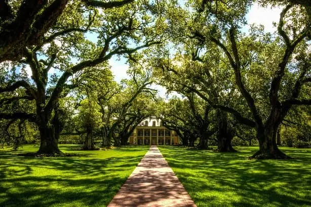 Vacherie's Oak Alley Plantation Tour Awaits from New Orleans