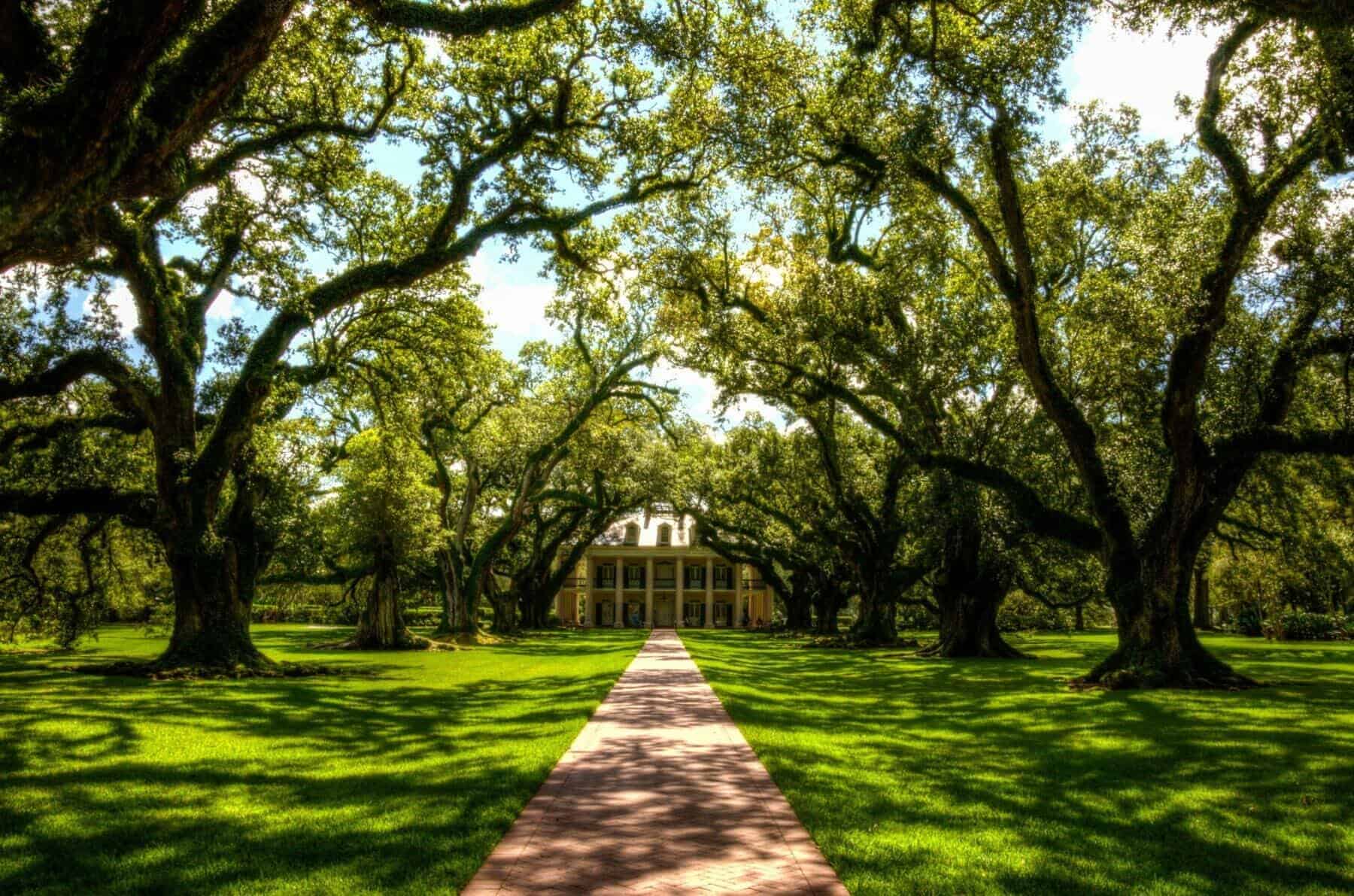 Home Icy 43 Vacherie's Oak Alley Plantation Tour Awaits from New Orleans