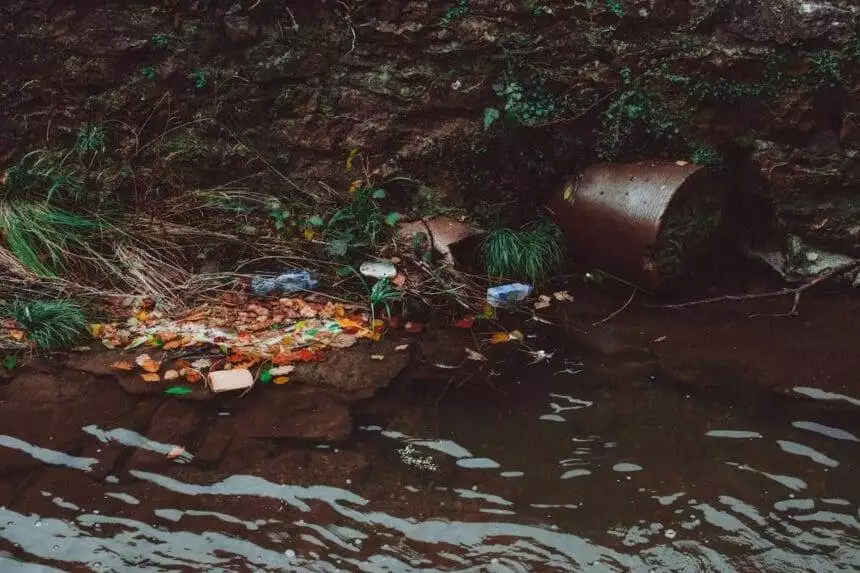 how does water pollution affect aquatic life