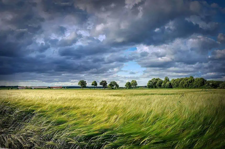 Impacts of Wind Patterns on Climate: Understanding the Effects 1 what effects do wind patterns have on climate