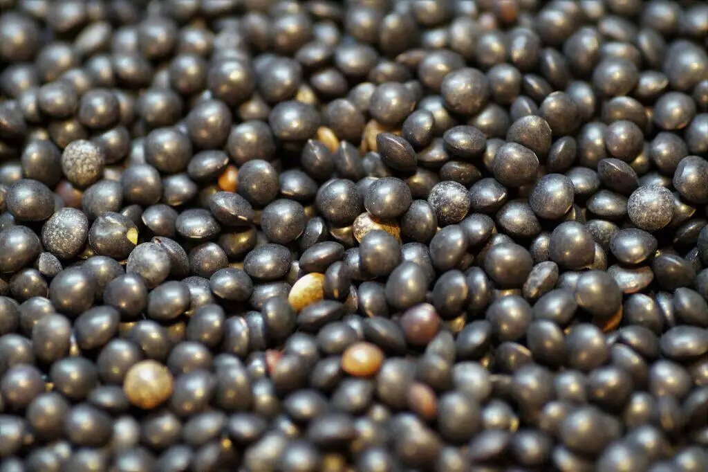 What to eat with lentils
