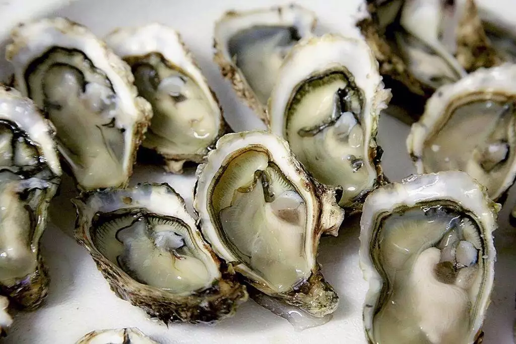 What Can You Eat With Oysters? Tasty Combinations to Savour 2 What to eat with Oysters