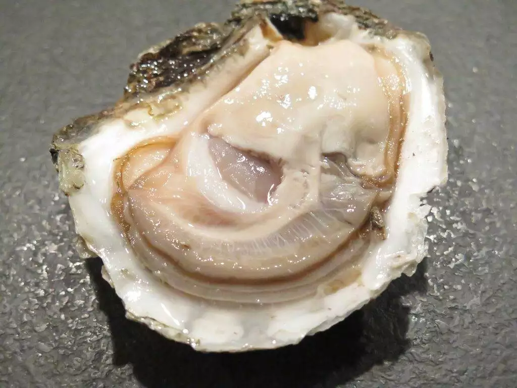 What Can You Eat With Oysters? Tasty Combinations to Savour 3 What to eat with Oysters
