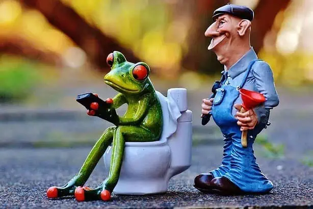 Clogged toilet