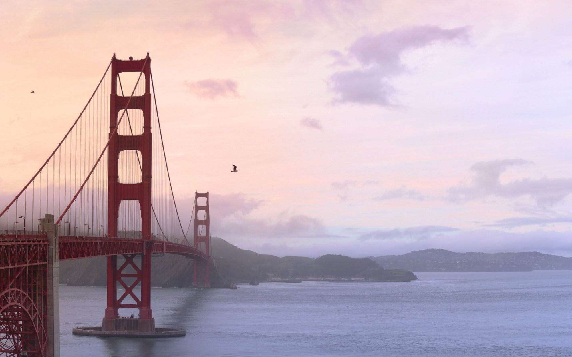Soar Over San Francisco: The Flyer 7D Experience Awaits You!