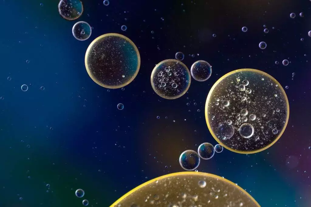 contaminated water 