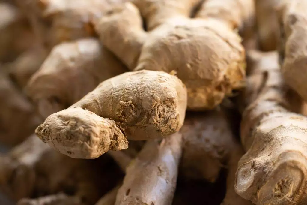 The Freshness Factor: How to Know If Ginger is Bad? 4 fresh ginger