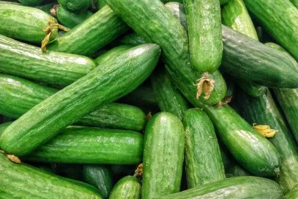 How to Know if a Cucumber is Bad
