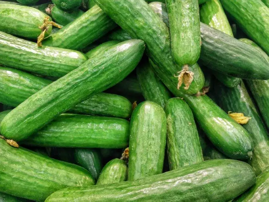 How to Know If a Cucumber is Bad? 6 Ways to Check 1 How to Know if a Cucumber is Bad