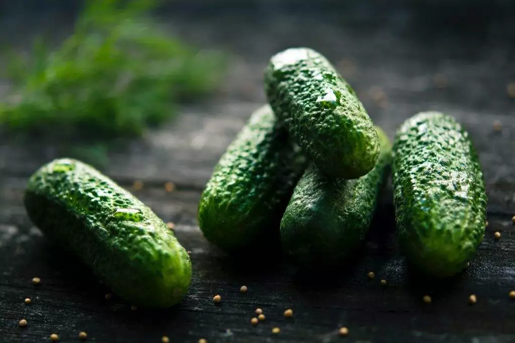 How to Know If a Cucumber is Bad? 6 Ways to Check 5 How to Know If a Cucumber is Bad? 6 Ways to Check 4