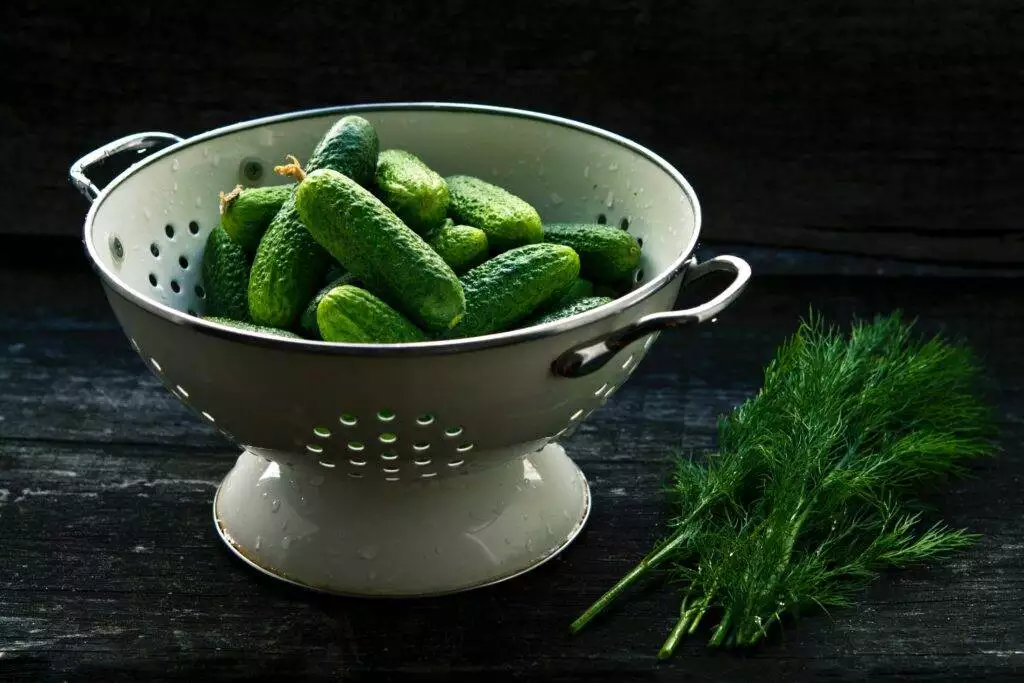 How to Know If a Cucumber is Bad? 6 Ways to Check 3 How to Know If a Cucumber is Bad? 6 Ways to Check 2
