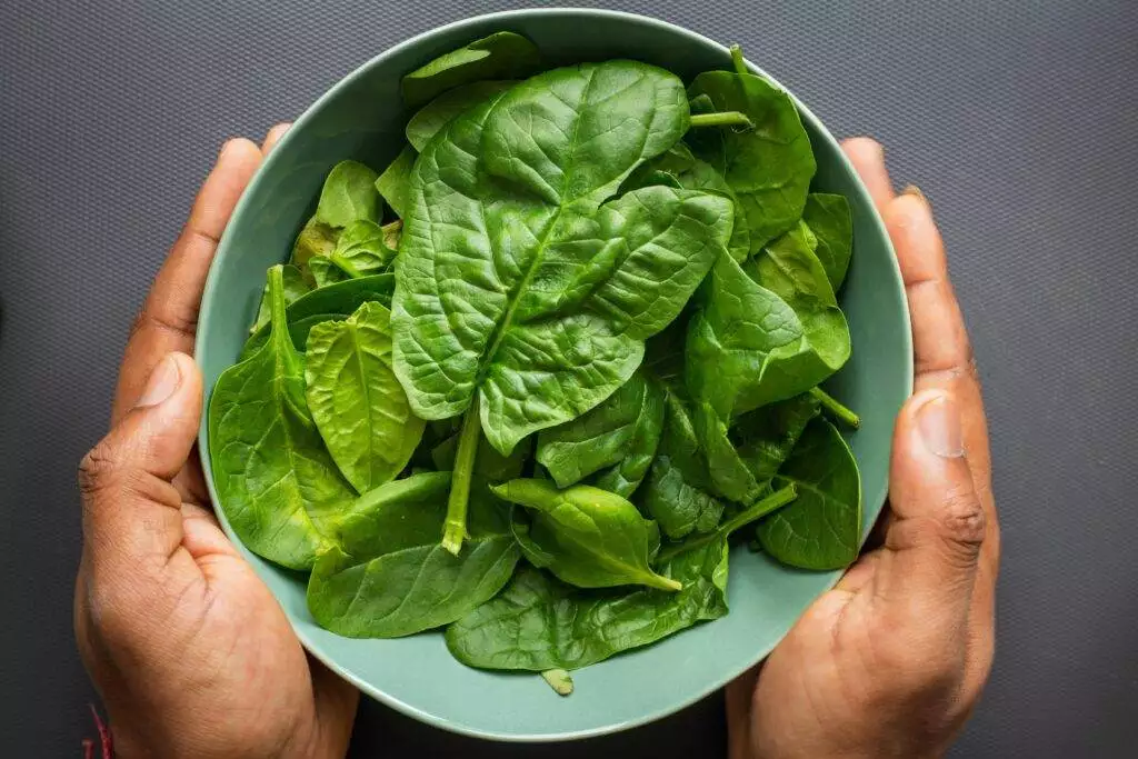 green leafy spinach kept in a bowl