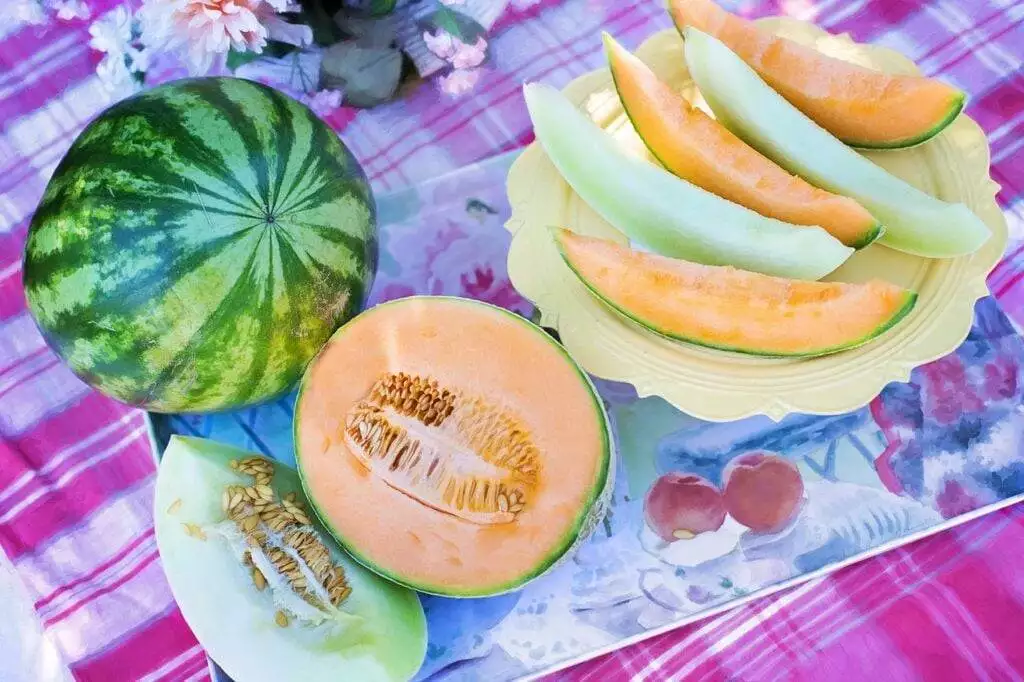 How To Know If Cantaloupe Is Ripe? 5 Simple Steps to Know 2 How to know if cantaloupe is ripe