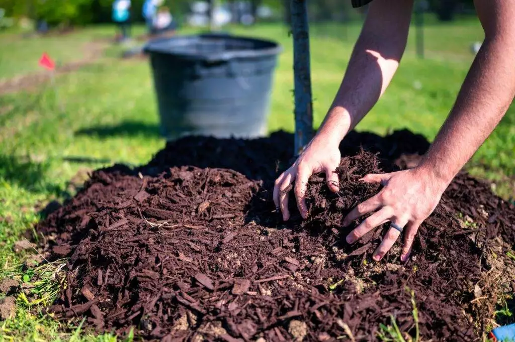Mulching 