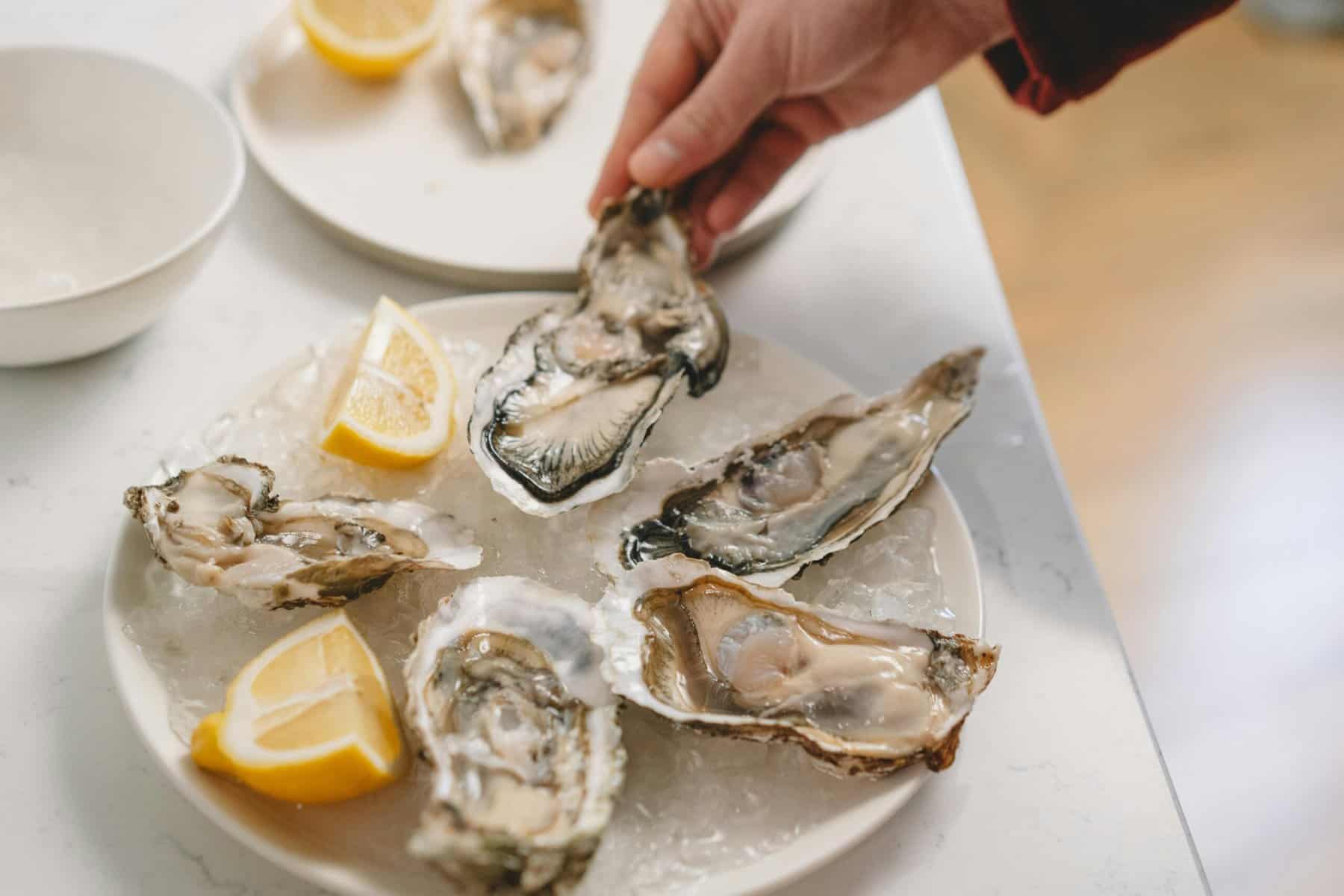 Home Icy 44 Fresh oysters on a plate with lemon wedges, perfect for seafood lovers.