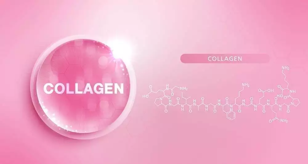 Does Collagen Protein Build Muscle: 5 Amazing Benefits 3 Does Collagen Protein Build Muscle: 5 Amazing Benefits 2