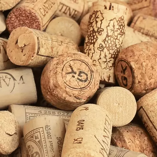 Sip and Celebrate: The Jersey City Wine Fest for Wine Lovers! 1