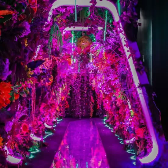 Inside the Interactive INTER_Art Fiesta in New York City! 1