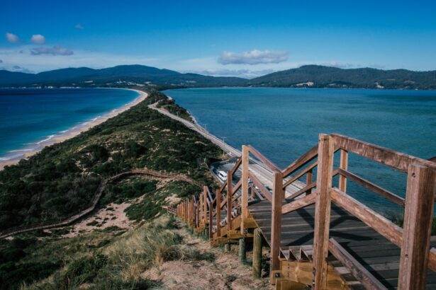 The Bruny Island Sightseeing Tour Awaits from Hobart! 2