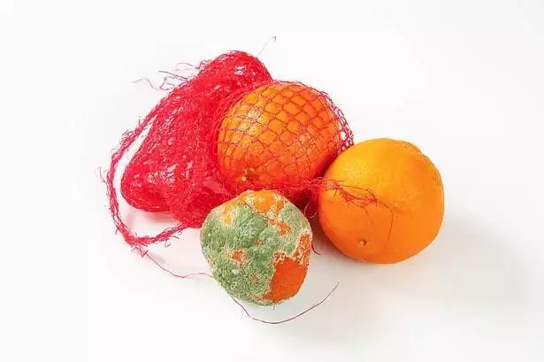 A bunch of ripe and rotten oranges in a red net bag.