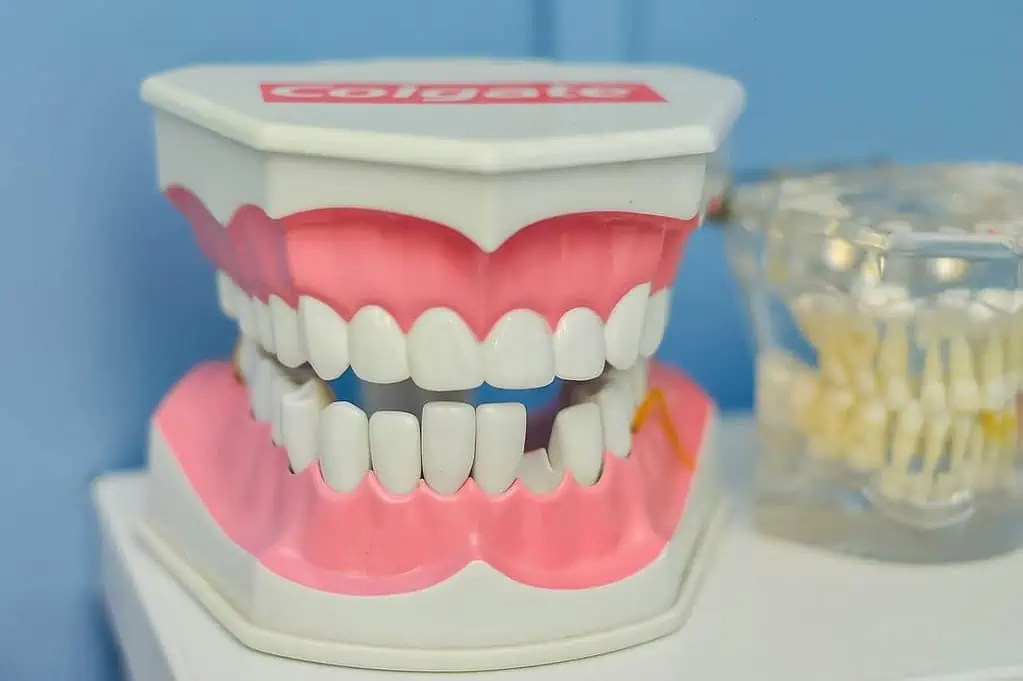 How to Identify Gum Disease: Top Tips for Healthy Gums 7 How to Identify Gum Disease: Top Tips for Healthy Gums 4