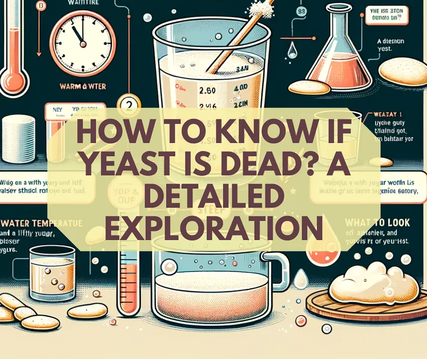 How to Know If Yeast is Dead? A Detailed Exploration 1