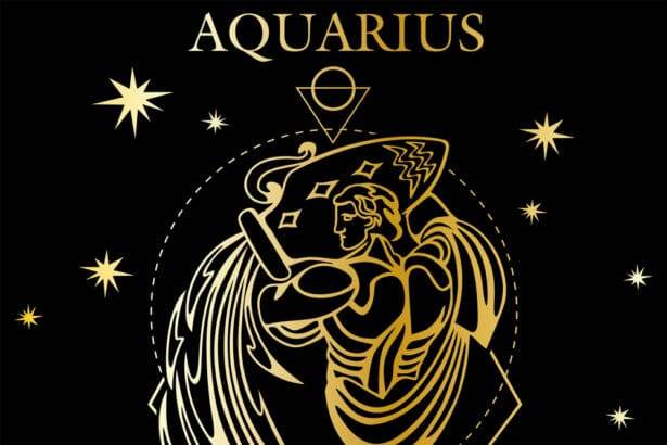 Exploring The Wisdom Of Aquarius Spiritual Animals: Everything You Need To Know 2