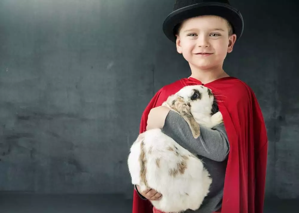 spiritual meaning of rabbit crossing your path