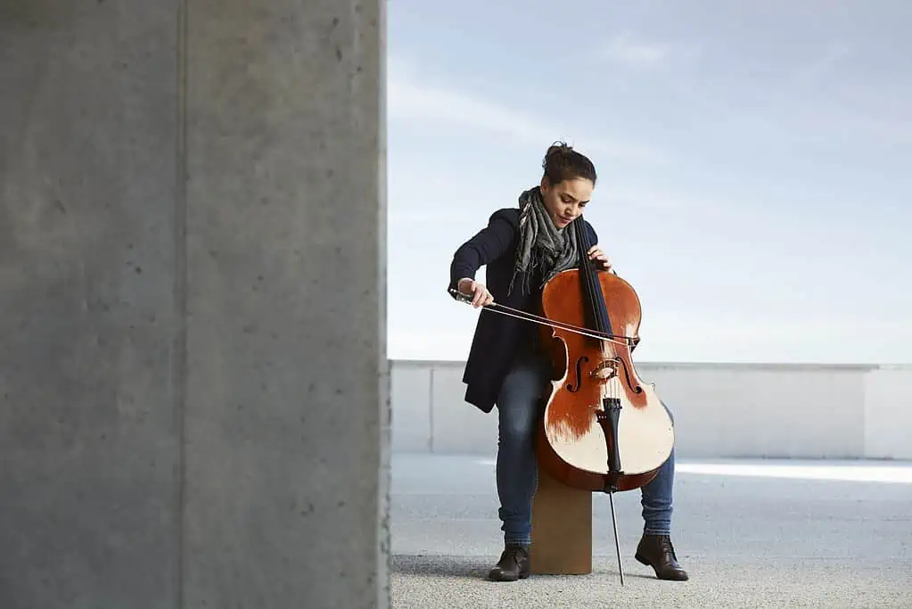 How to Ship a Violin? Four Factors To Consider 5 how to ship a violin