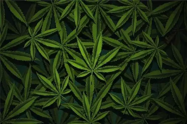 How To Select The Best Cannabis Products For You 2 How To Select The Best Cannabis Products For You 1