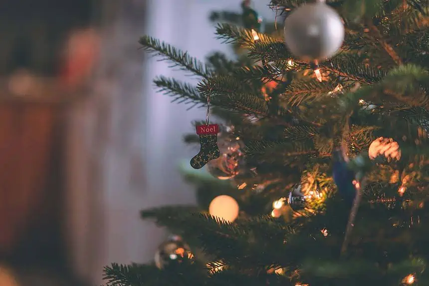 10 Unique Christmas Traditions Around the World 1 Christmas Tree