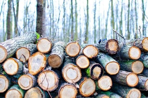 why is pressure-treated wood cheaper than untreated wood