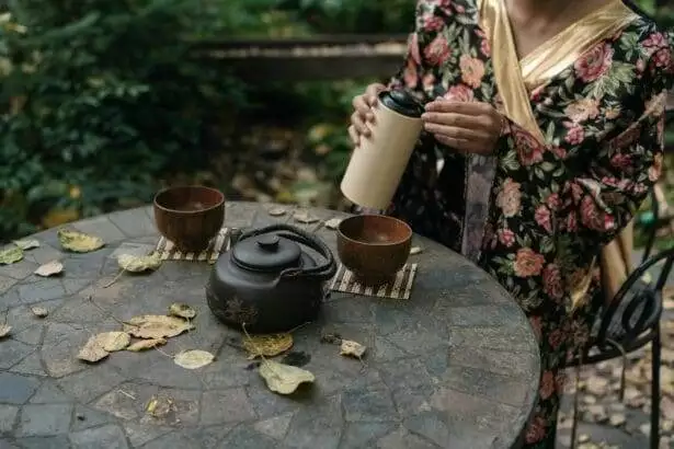 Ichi go meaning tea ceremony