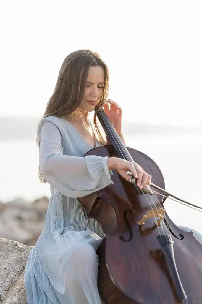 How to Ship a Violin? Four Factors To Consider 2 how to ship a violin