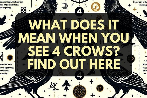 What Does it Mean When You See 4 Crows? Find Out Here 4