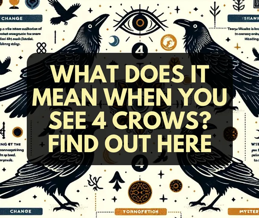 What Does it Mean When You See 4 Crows? Find Out Here 1 What Does it Mean When You See 4 Crows? Find Out Here 1