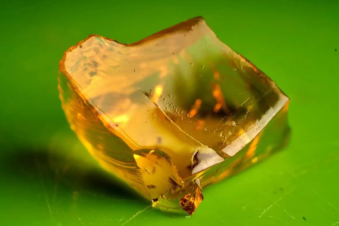 Is Jelly a Condiment? The Sweet Side of Seasoning 4 Is Jelly a Condiment? The Sweet Side of Seasoning 3