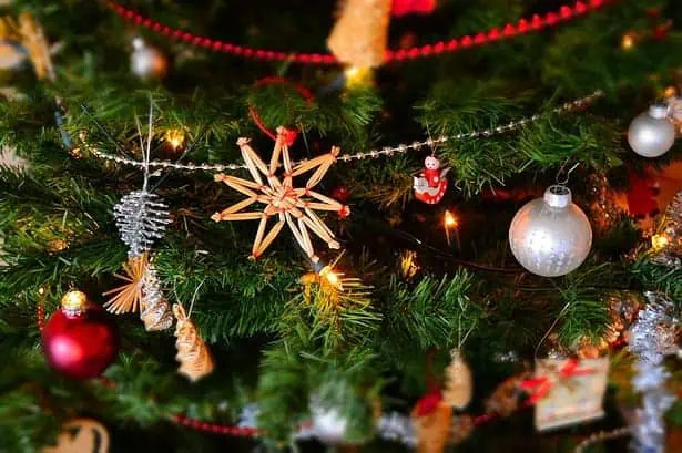 Close-up of Christmas tree with festive decorations and lights.