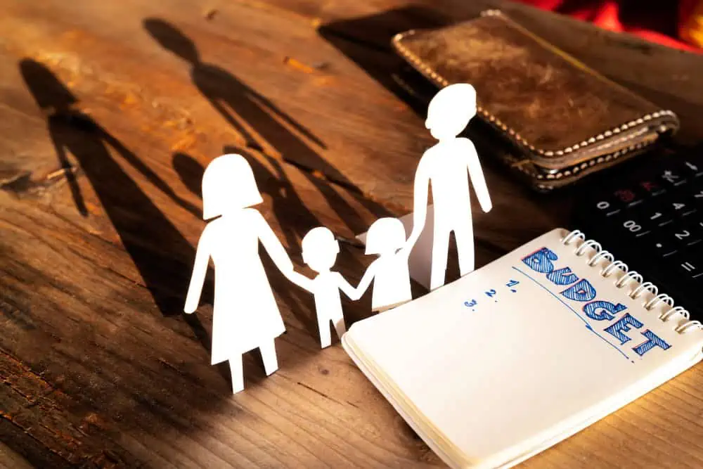 How To Win A Termination Of Parental Rights Case? 1