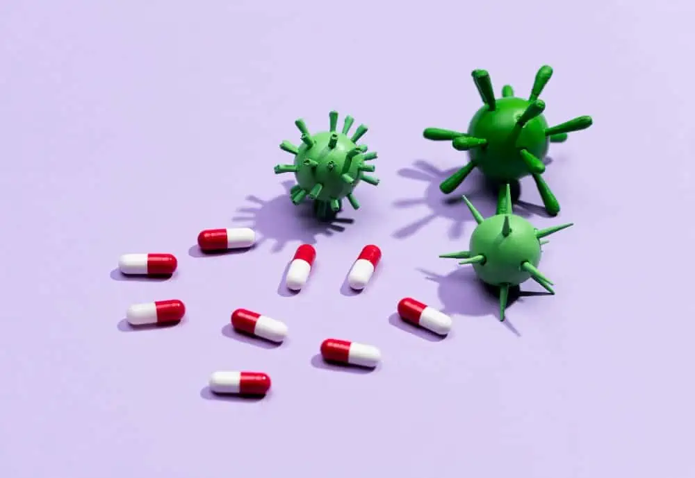 how soon after botox can you take antibiotics