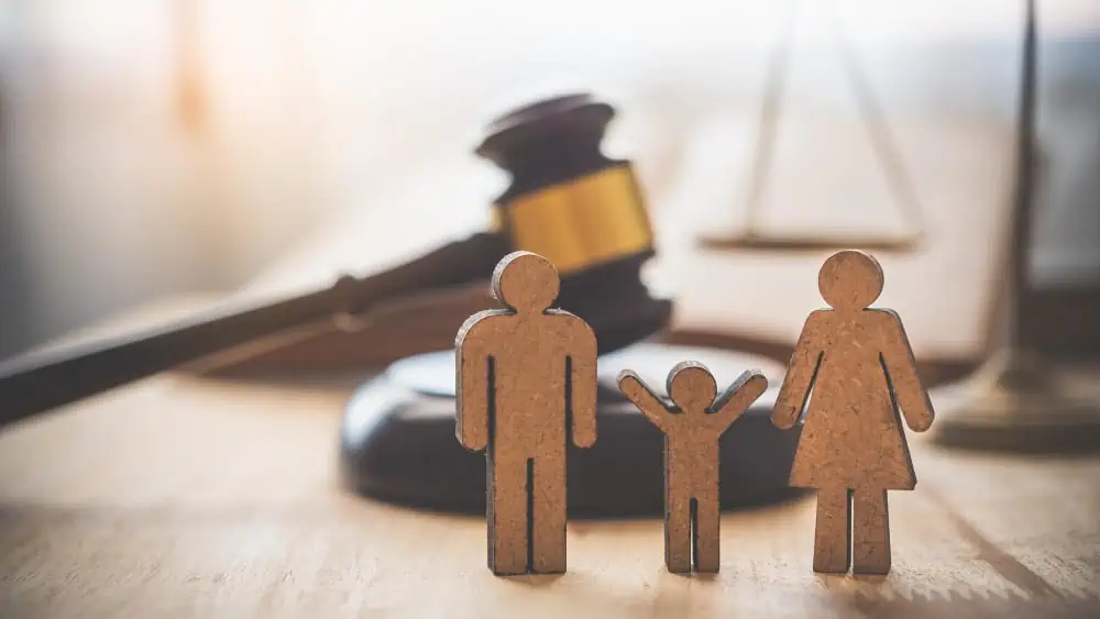 How To Win A Termination Of Parental Rights Case? 3 how to win a termination of parental rights case